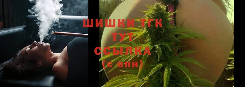 Конопля SATIVA & INDICA  купить наркотик  блэк спрут как войти  Каневская 